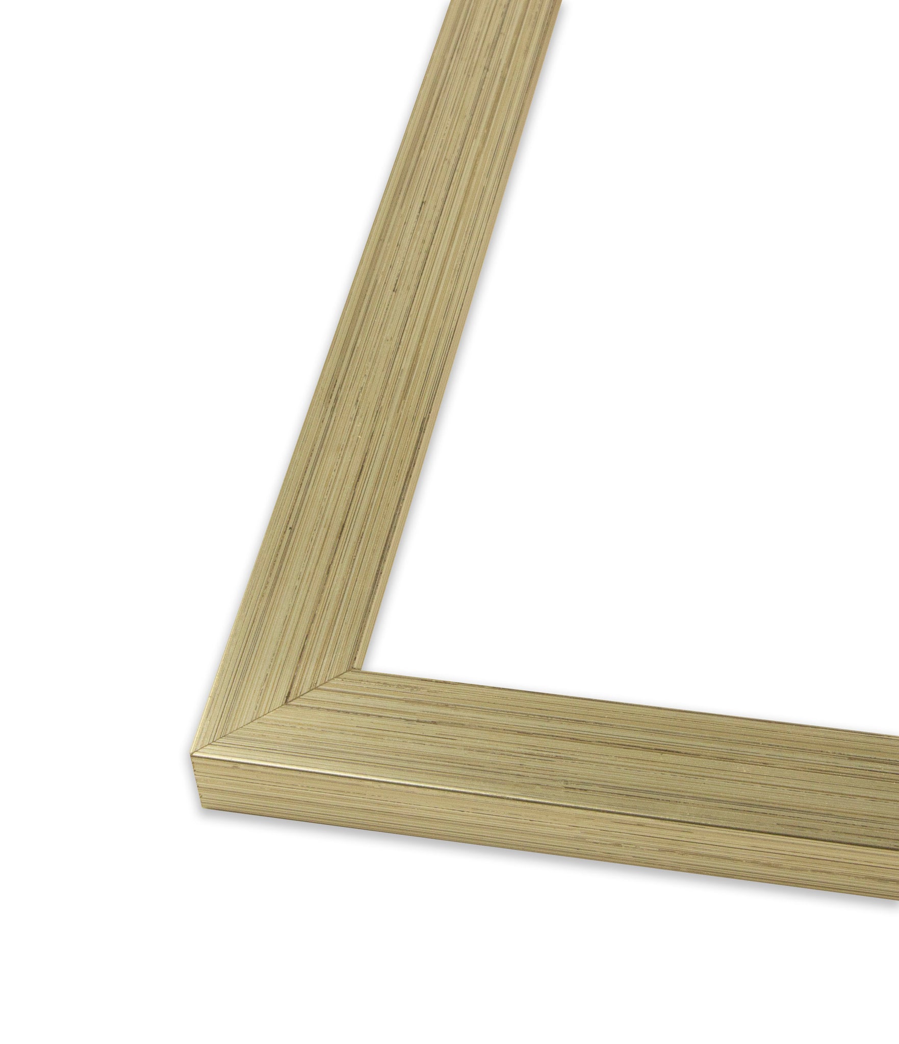 Narrow Modern Photo Frame - Champagne– The Rusty Roof